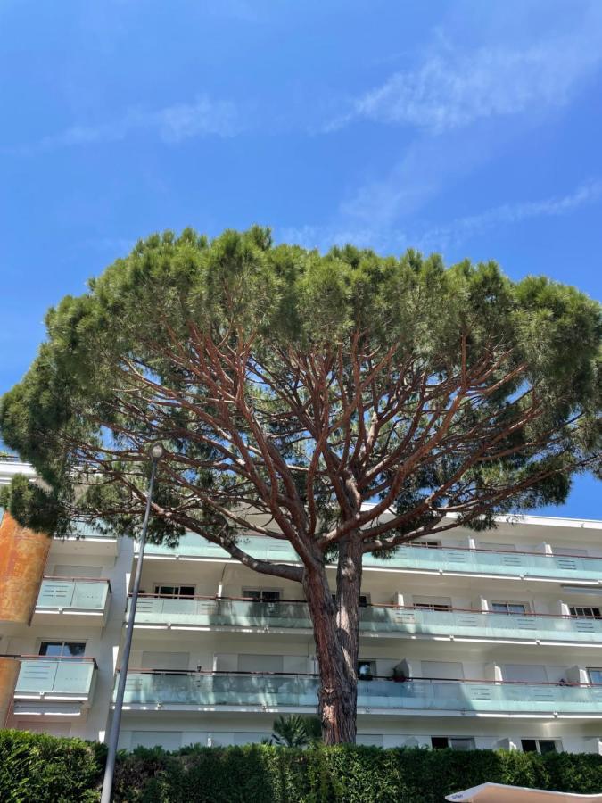 Superbe Studio Lumineux Sur Cannes Avec Terrasse ! A Quelques Minutes De La Celebre Rue D'Antibes ! Kültér fotó
